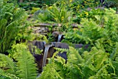 FERNS IN THE RILL GARDEN AT OZLEWORTH PARK, GLOUCESTERSHIRE