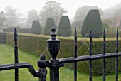 AUTUMN COBWEBS ON PAINTED IRON GATE AND TOPIARY YEWS AT OZLEWORTH PARK, GLOUCESTERSHIRE