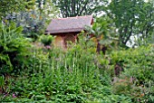 SUMMERHOUSE IN THE HIMALAYAN GLADE AT ABBOTSBURY SUB-TROPICAL GARDEN