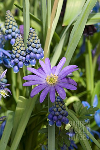 SPRING_BLUE_COMBINATION
