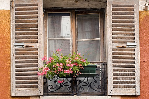WINDOW_WITH_WINDOW_BOX__FRANCE__AUGUST