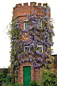 WISTERIA CLAD TOWER AT STONE HOUSE COTTAGE GARDEN,  MAY