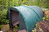 ANDERSON SHELTER ON ALLOTMENT