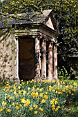 VIEW OF PALLADIAN TEMPLE AT RIPLEY HALL,  YORKSHIRE,  WITH NARCISSUS IN THE FOREGROUND,  MAY