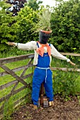SCARECROW AT RYTON ORGANIC GARDEN,  COVENTRY,  MAY