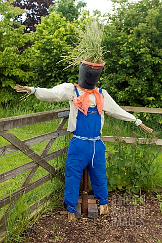SCARECROW_AT_RYTON_ORGANIC_GARDEN__COVENTRY__MAY