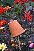 UPTURNED PLANT POT ON STICK FILLED WITH STRAW USED FOR TRAPPING EARWIGS AMONGST DAHLIAS