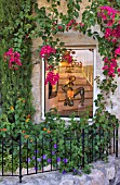 SMALL FRONT GARDEN IN FRONT OF GALLERY WINDOW, ST PAUL DE VENCE, FRANCE