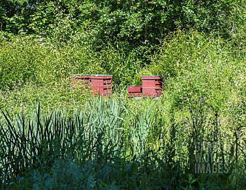 WOODEN_BEEHIVES