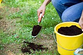 LAWN CARE - COVERING SEEDS WITH SOIL