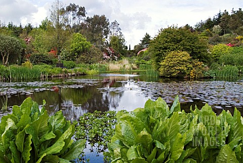 THE_LOCH_AND_THE_OBELISK_AT_GLENWHAN_GARDENS