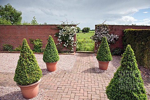 BRICK_PATH_WITH_BUXUS_TOPIARY_IN_CONTAINERS_AT_WOLLERTON_OLD_HALL