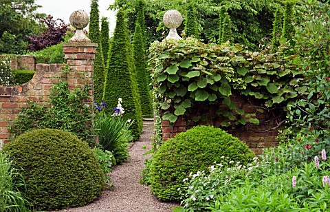 PATH_THROUGH_YEW_SPIRES_AT_WOLLERTON_OLD_HALL