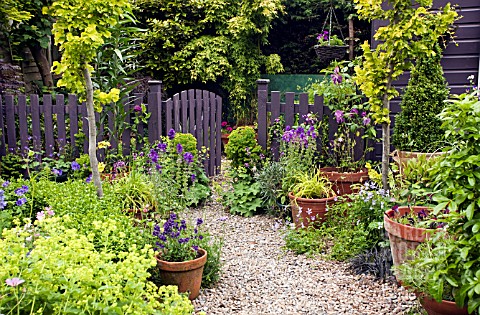 SUMMER_GARDEN_WITH_POTS_GRAVEL_PATH_WITH_TERRACOTTA_POTS_AROUND_GARDEN_GATE_AND_OPEN_PALE_COLOURED_F