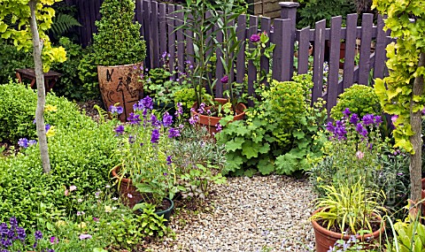 SUMMER_GARDEN_WITH_POTS_GRAVEL_PATH_WITH_TERRACOTTA_POTS_AROUND_GARDEN_GATE_AND_OPEN_PALE_COLOURED_F
