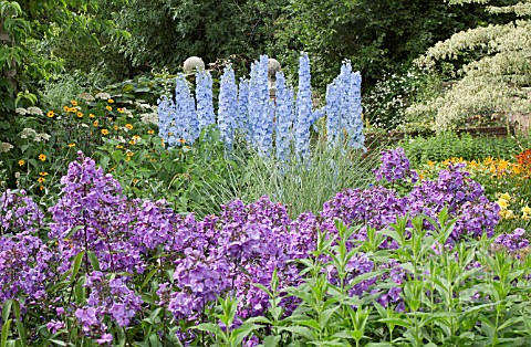 PHLOX_PANICULATA_AMETHYST_AND_DELPHINIUM_SUMMER_SKIES_AT_WOLLERTON_OLD_HALL