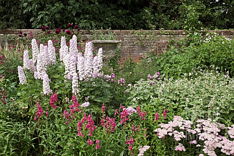 BORDER_OF_ACHILLEA_PENSTEMON_AND_DELPHINIUMS_AT_WOLLERTON_OLD_HALL