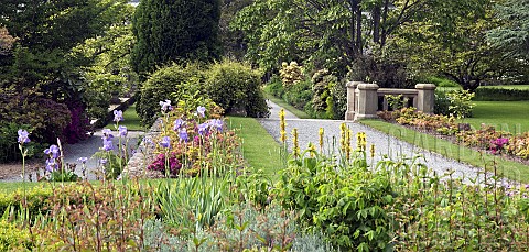 Herbaceous_borders_many_mature_trees_shrubs_spring_bulbs_Azaleas_perennials_with_pathways_and_lawns_