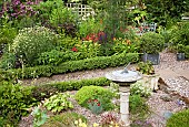 A plant lovers cottage garden with herbaceous perennials