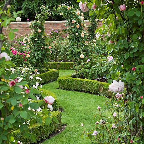 Borders_and_arches_of_roses