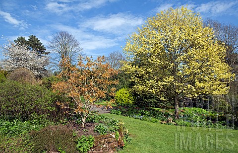 Borders_of_mature_trees_and_shrubs_with_herbaceous_perennials