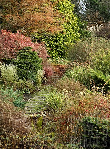 Dorothy_Clive_Garden_in_Autumn_mature_trees_and_shrubs_with_brick_path