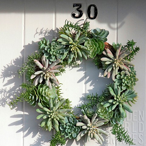 Door_Wreath_of_living_succulent_plants