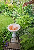Ornate bird bath, borders of herbaceous perenials borders lawn