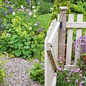 Open pale cream wooden garden gate, borders of summer flowering herbaceous perennials