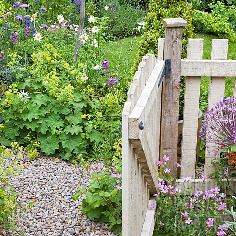 Open_pale_cream_wooden_garden_gate_borders_of_summer_flowering_herbaceous_perennials