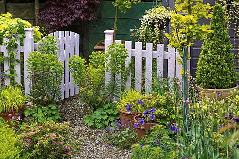 Open_pale_fence_with_Euphorbia_and_containers_around_gate