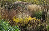Ornamental grasses and perennials seed heads and leaf colour