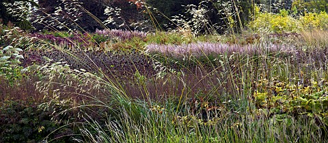 Mixed_borders_of_perennials_and_ornamental_grasses
