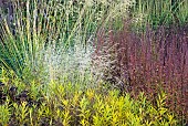 Mixed border Herbaceaous perennials Ornamental Grasses