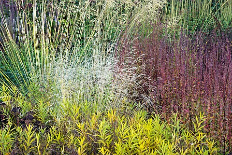 Mixed_border_Herbaceaous_perennials_Ornamental_Grasses