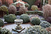 Shaped buxus hedging ornate container in frost