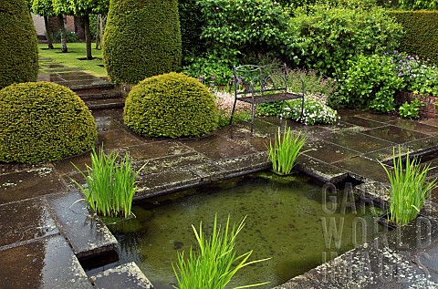 The_lower_rill_garden_with_box_pudding_yew