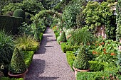 The Long Walk box-lined beds are narrow with box cones in Whichford pots