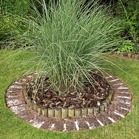 Lawn_with_feature_Ornamental_Grass_variegated_Miscanthus