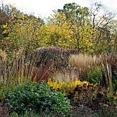 Stunning borders in autumn from ornamental grasses and perennials