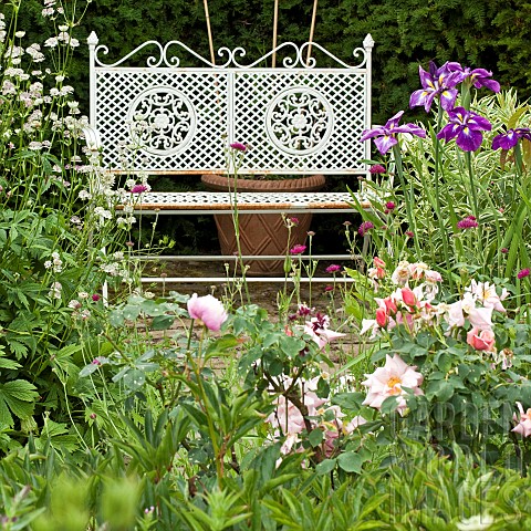 White_ornate_garden_bench_with_summer_flowering_perennials