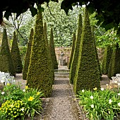 Carved limestone wellhead,four quadrant beds are separated by tall thin yew spires