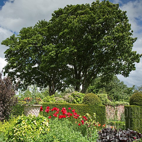 Borders_of_herbaceous_perennials_yew_hedges_mature_trees_and_shrubs