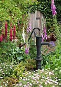 Country cottage garden with Lupins, Foxgloves, Gereaniums, and Hosta