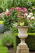 Ornate container on plinth with summer flowering annuals