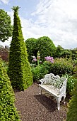 White ornate metal bench on gravel path, herbaceous borders, tall yew pyramids