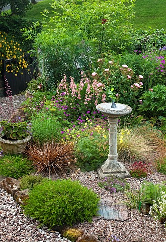 A_plant_lovers_cottage_garden_gravel_area_with_sundial_grasses_and_herbaceous_perennials