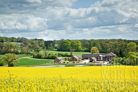 Views_to_open_countryside_field_of_bright_yellow_rapeseed