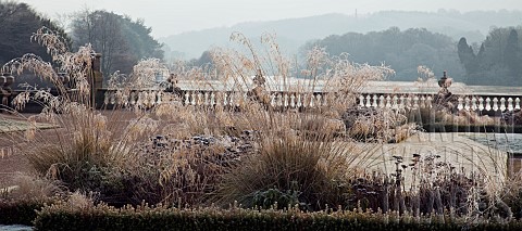 Frosted_ornamental_grass_in_formal_bed_in_italianate_formal_garden