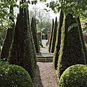 Carved limestone wellhead,four quadrant beds are separated by tall thin yew spires in a cruciform.